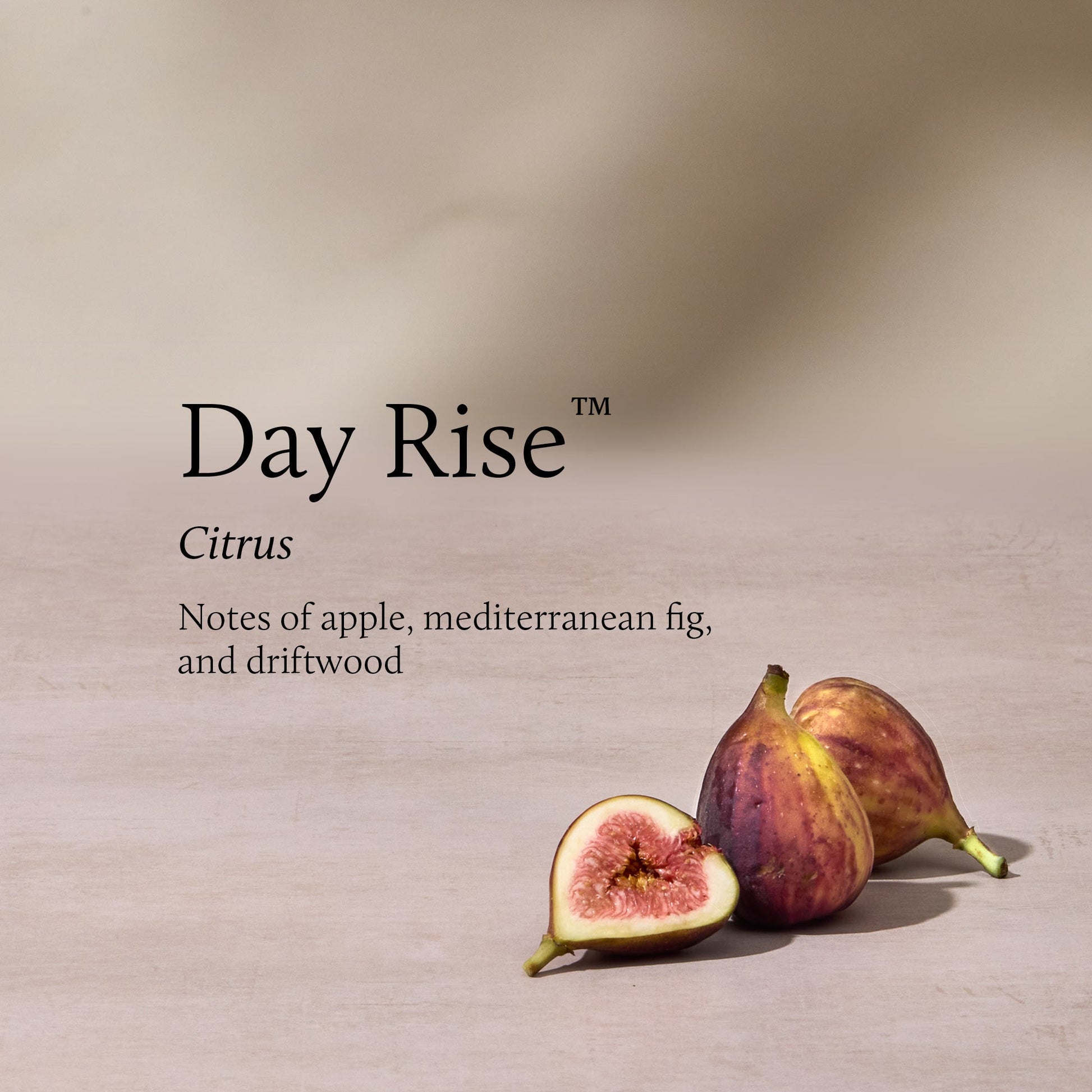 Day Rise Petite Reed Diffuser