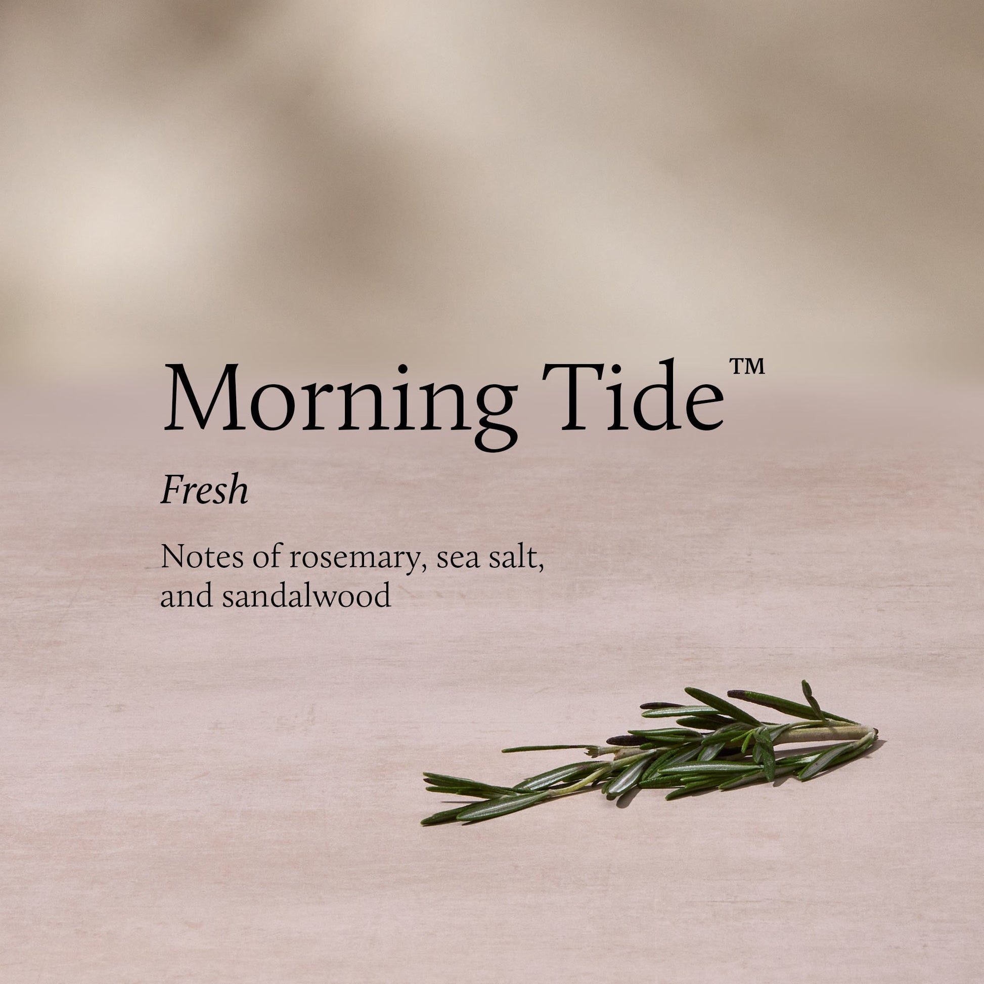 Morning Tide 13 oz 2-Wick Candle
