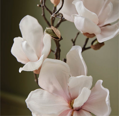 Magnolia Willow Petite Reed Diffuser