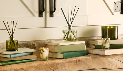 Frasier Fir® Pine Needle Reed Diffuser
